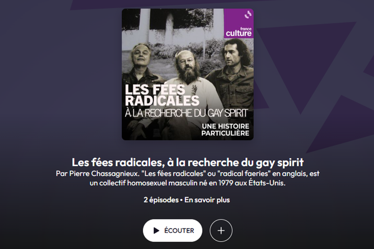 France Culture - Les fées radicales - Guillaume Marche